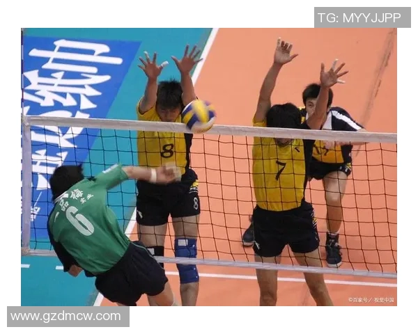 聚焦杭州排球队个人能力提升与团队协作的完美结合