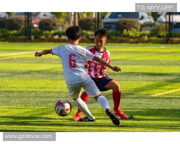 北京足球队在精英赛中的状态分析与表现评估