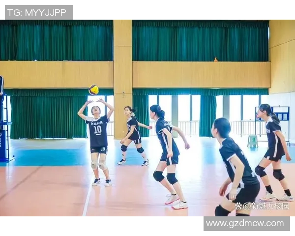 南京排球队的灵活性揭秘：从训练到比赛的全方位解析与展现