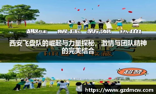 DB旗舰首页