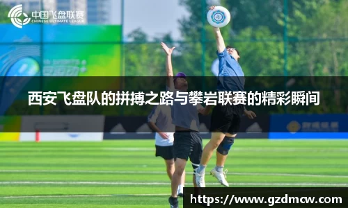 DB旗舰官网