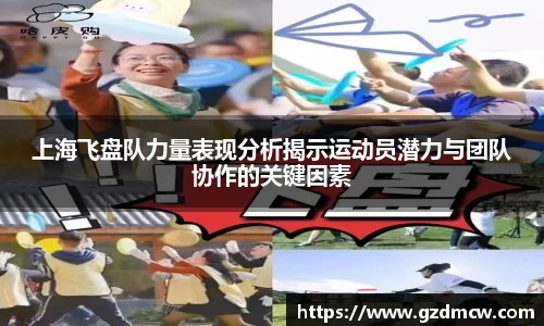 DB旗舰官网
