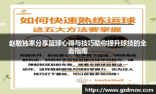 赵敏独家分享篮球心得与技巧助你提升球技的全面指南