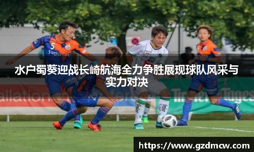 DB旗舰官网