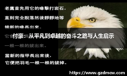 DB旗舰